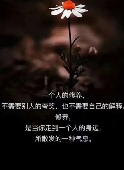 帕尼切利：伤后迷茫与重塑